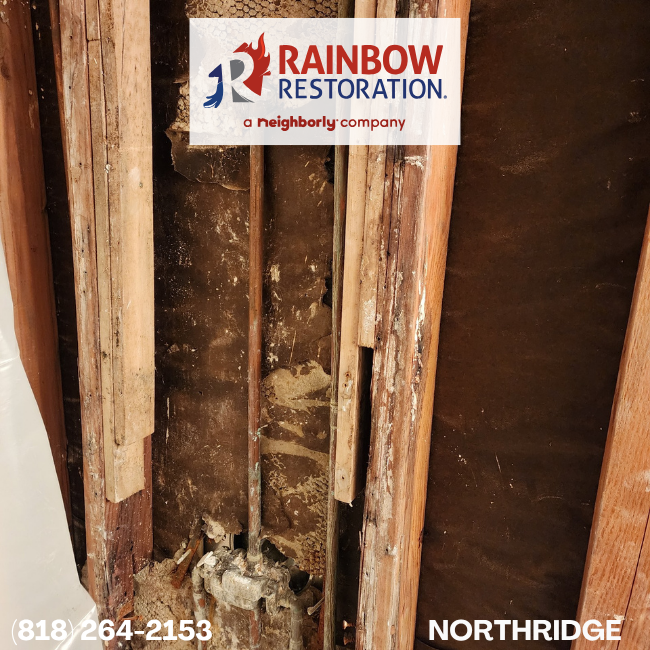 Restoration image for Heritage Construction Specialist Inc in Claremont