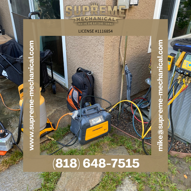 Restoration image for Legacy Mold Removal Remediation Los Angeles Ca in Los Angeles